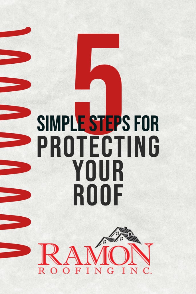 5 tips