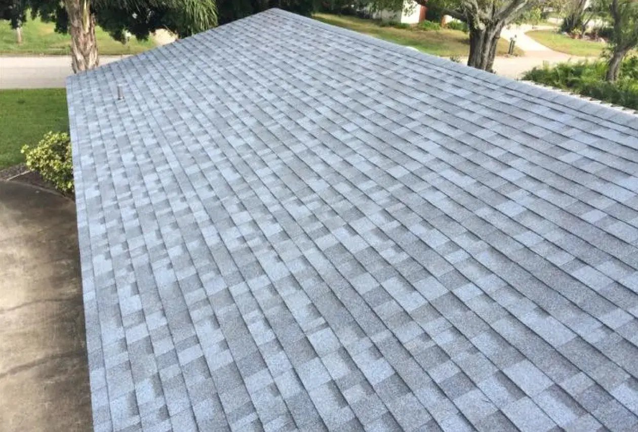 Asphalt Shingle Roof 02