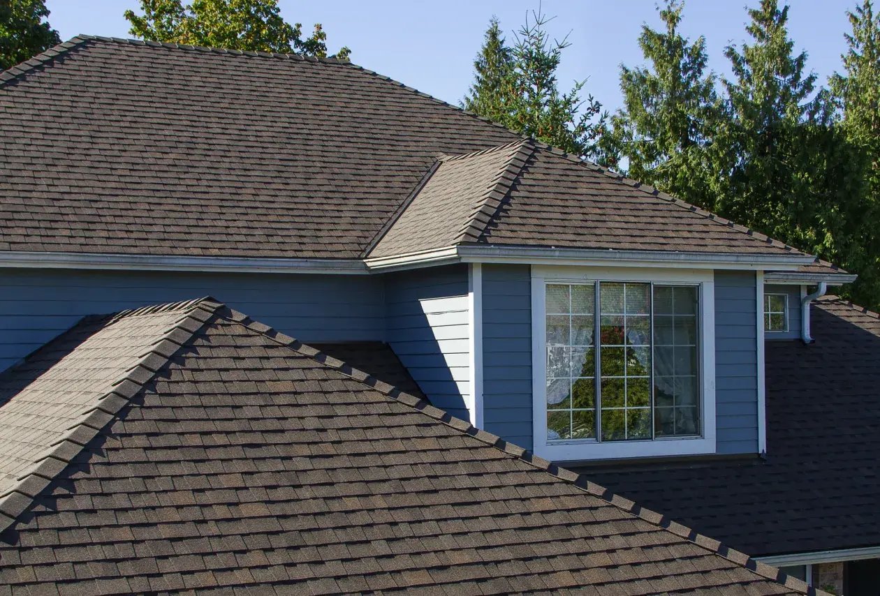 Asphalt Shingle Roof 04