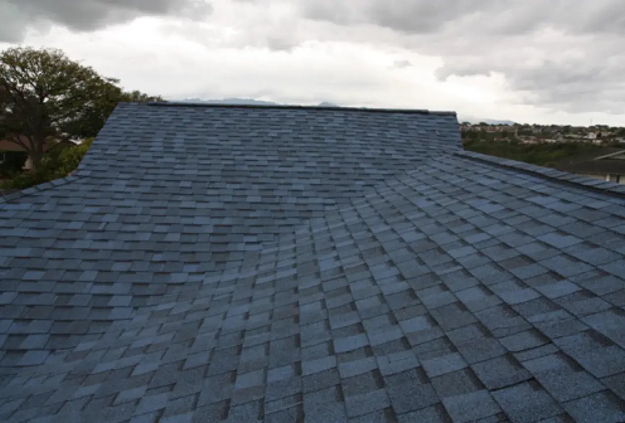 Asphalt Shingle Roof 14